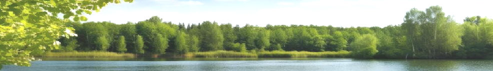 liebelt_homes_webpage001008.jpg