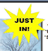 liebelt_homes_webpage005026.jpg